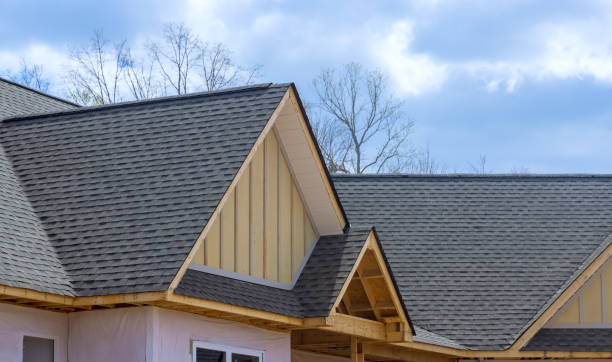 Best Storm Damage Roof Repair  in Aldan, PA