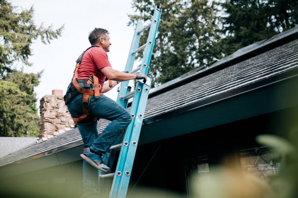 Best Roof Insulation Installation  in Aldan, PA