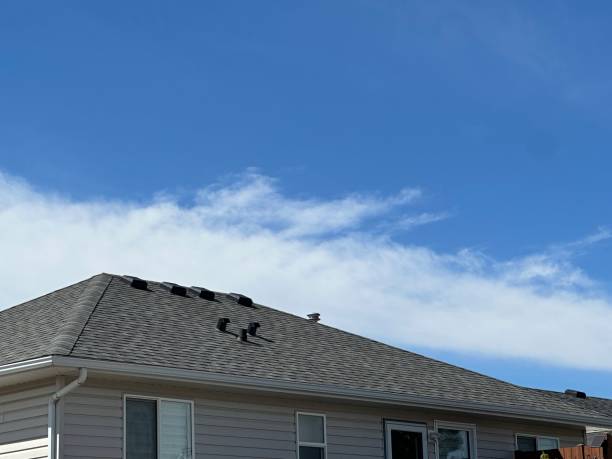 Trusted Aldan, PA Roofing Services Experts